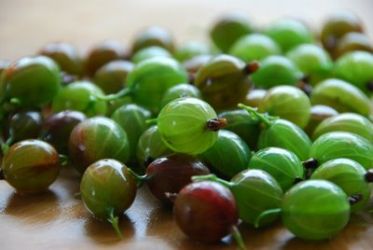 Ricette di Uva spina